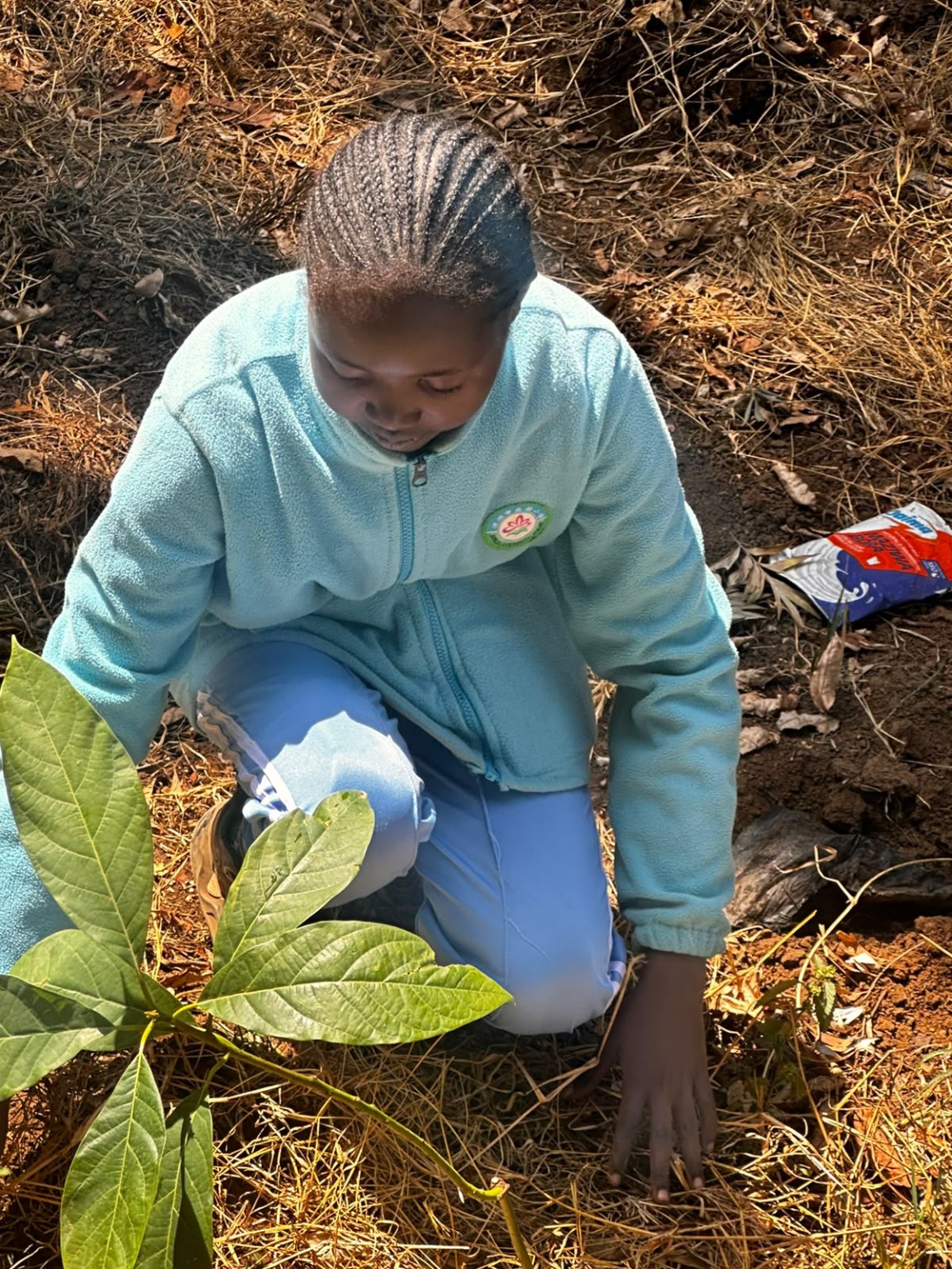 Participant planting a tree during an Esingil CBO environmental activity