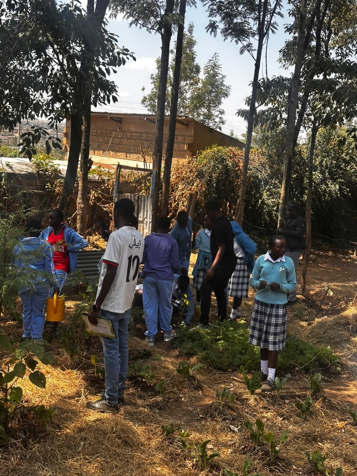 Community participants gathered during an Esingil CBO tree-planting activity